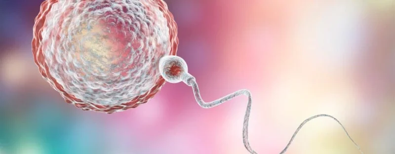 Inseminació artificial i coses útils que cal saber