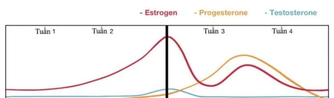 Monitorimi i fazës luteale me teknologji moderne