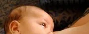 Baby spiser
